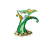 holeserperior.png