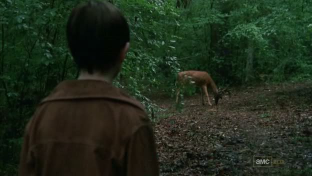 TheWalkingDeadS02E01HDTVXviD-ASAPavi_003670750.jpg