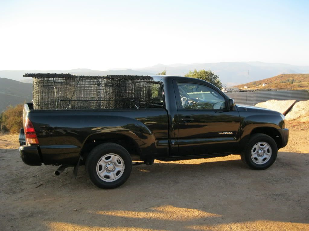 TrappingTruck.jpg