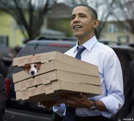 obama dog photo: Puperoni Pizza 448x404xObamaDogEater067jpgpagespeedicf2chUYmjXh.jpg