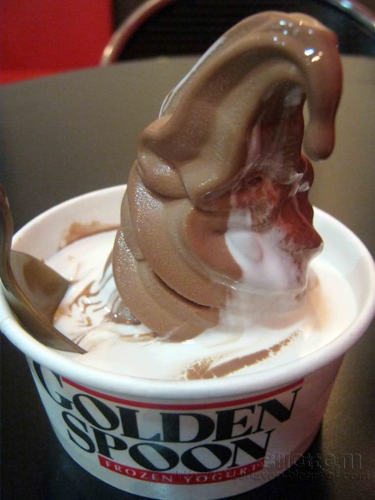 Belgian Chocolate Frozen Yogurt