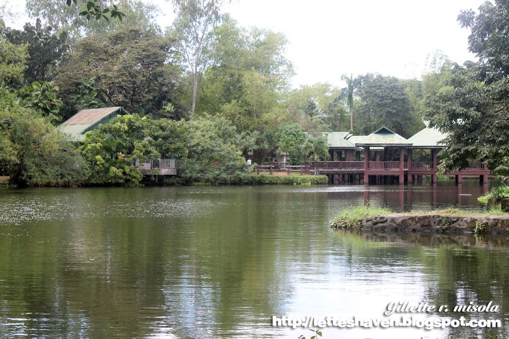 Ninoy Aquino Parks and Wildlife Center