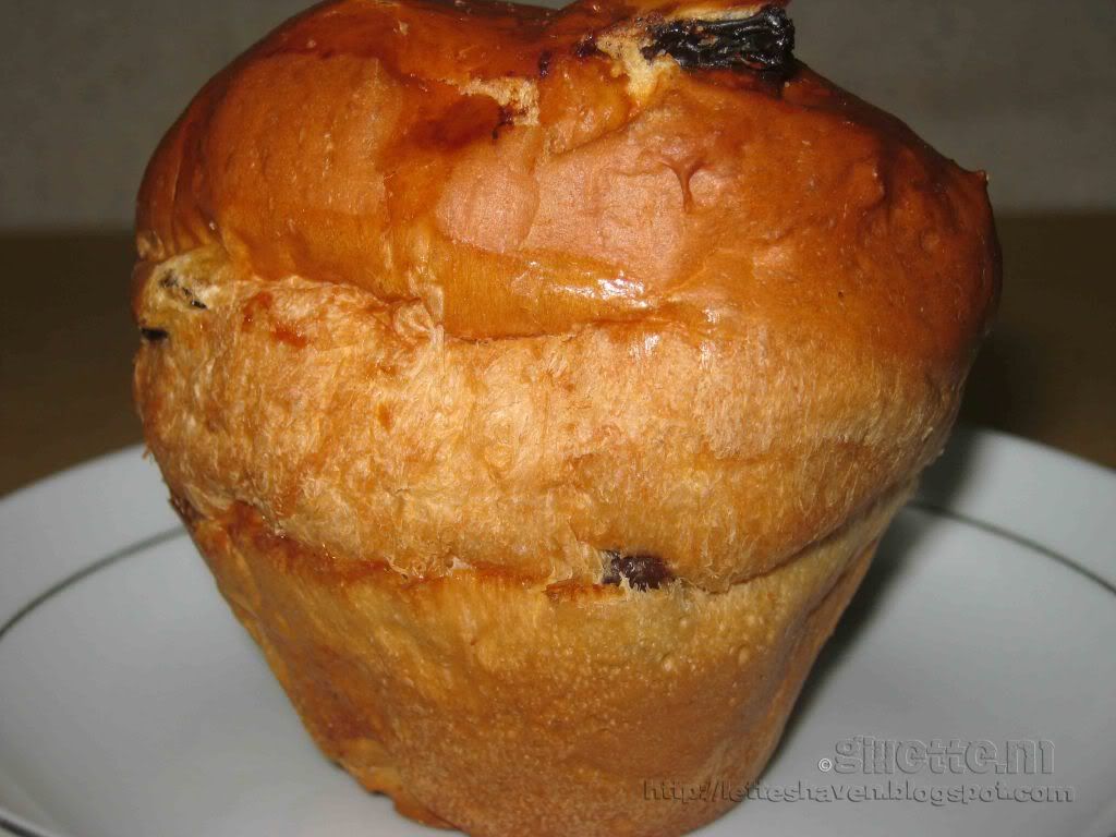 Lette's Haven The French Baker's Raisin