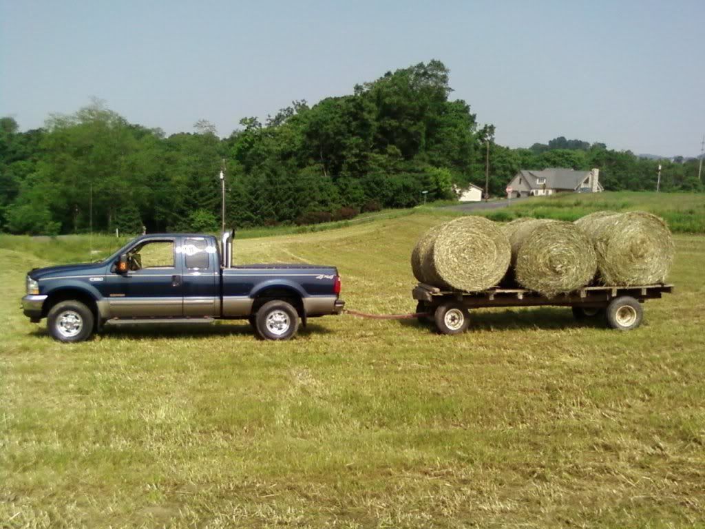 bales.jpg