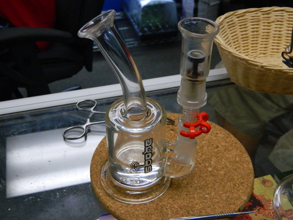 Stone Glass Works! thedailydab