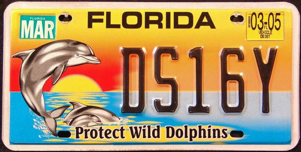FLORIDA " WILD DOLPHINS WILDLIFE FISH " FL Graphic License Plate FREE US SH eBay