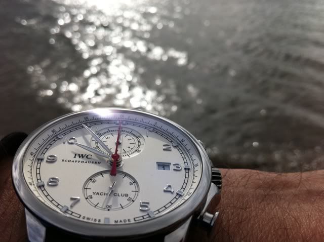 i1114.photobucket.com/albums/k526/Tonedoev/IWC%20Portuguese%20Yacht%20Club/7fc6ab5c.jpg