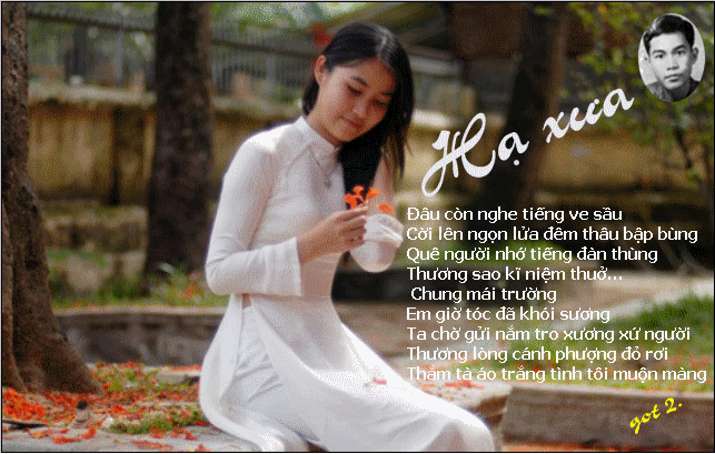 Hình ảnh