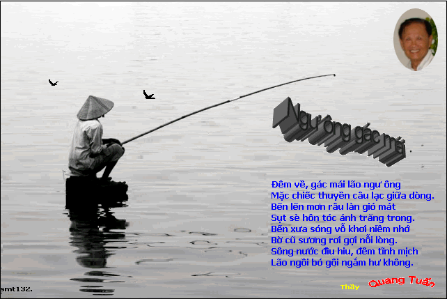Hình ảnh