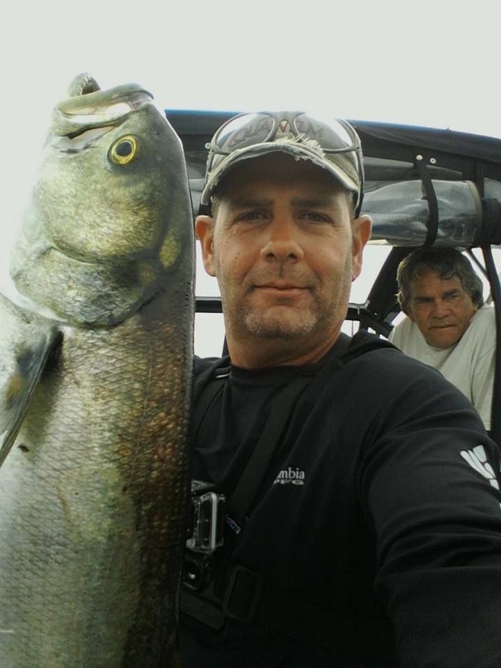 photo BlueFish_zps515430ad.jpg