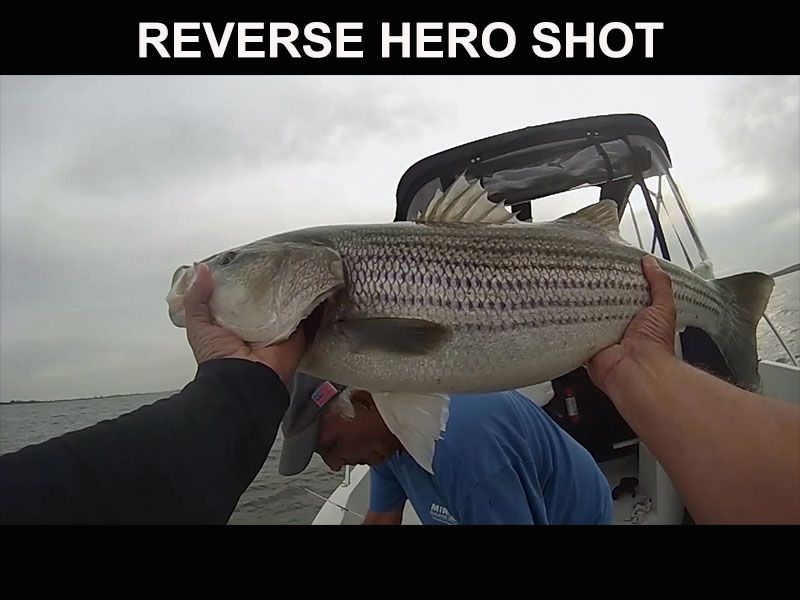 photo reverse-hero-shot_zpse3a89223.jpg