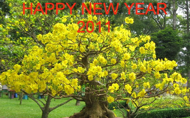 Chuyên Htc | Samsung | LG | Tablet USA gía tốt