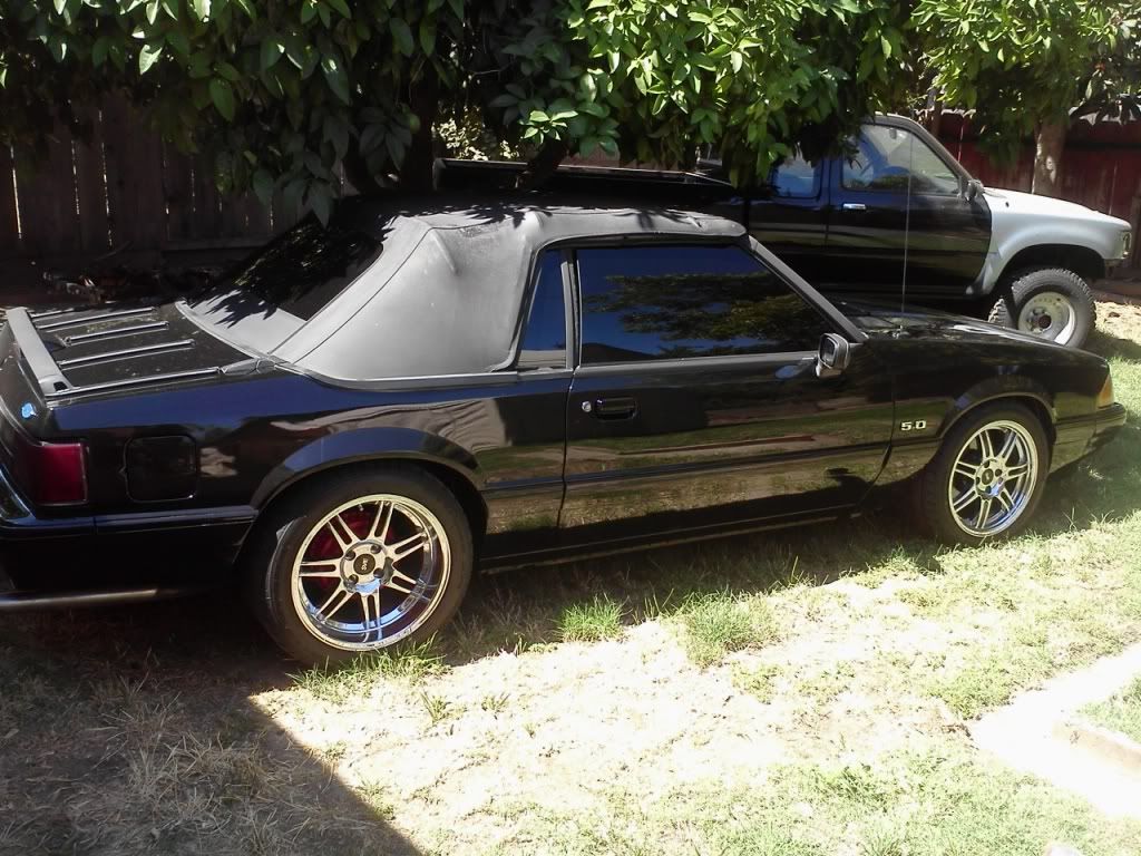 mustang 90