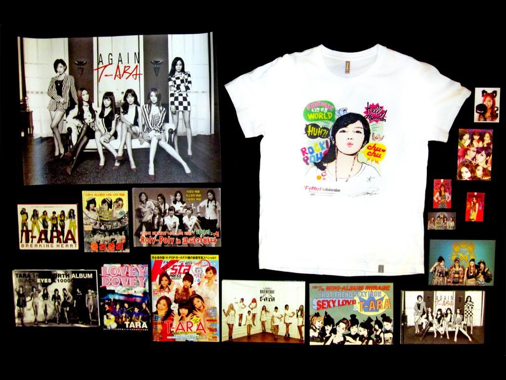t-ara-collection-fall-2013_zps0daef915.j