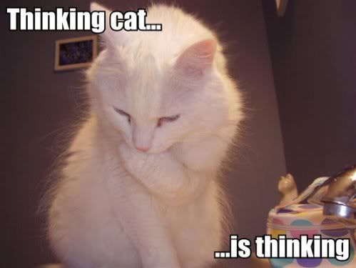 thinking-cat-is-thinking.jpg