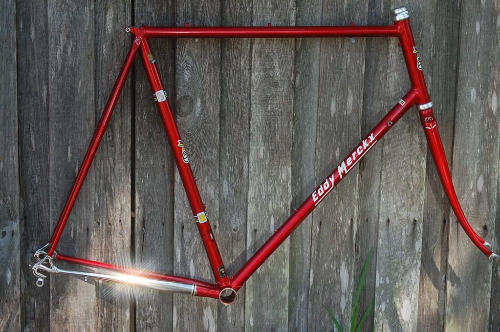 eddy merckx craigslist