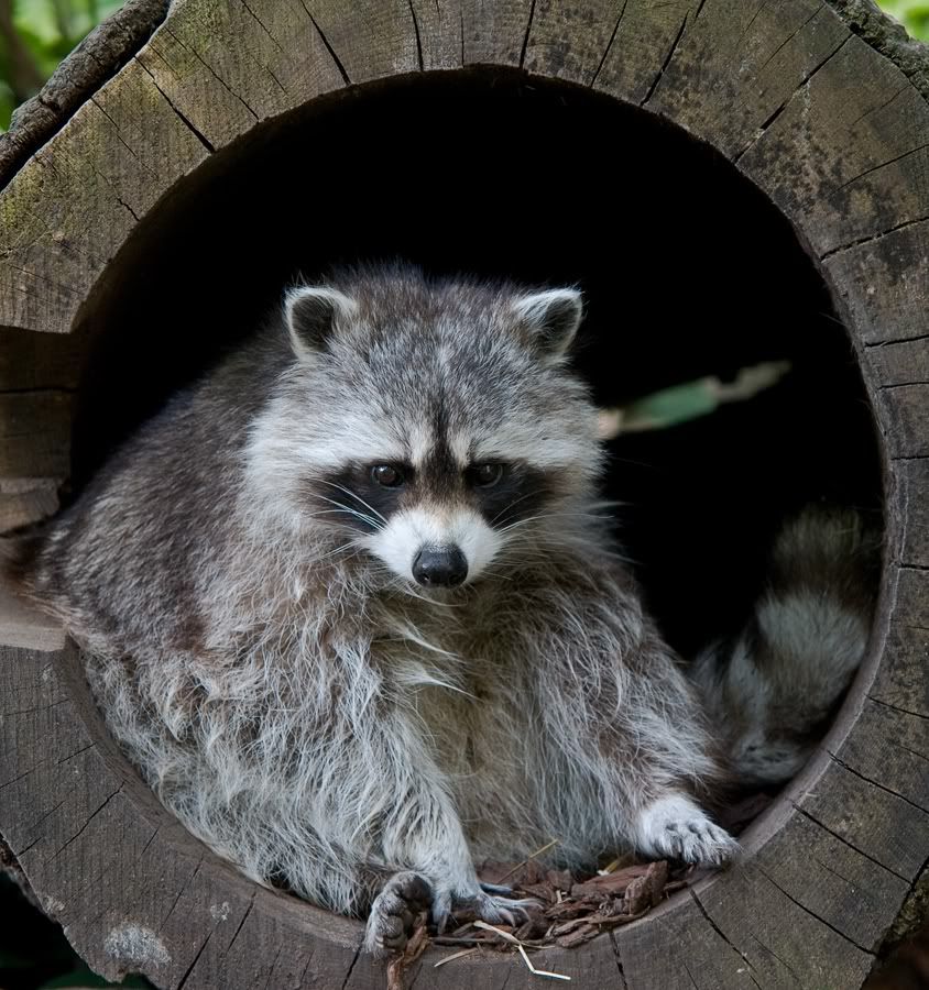 Fotografie