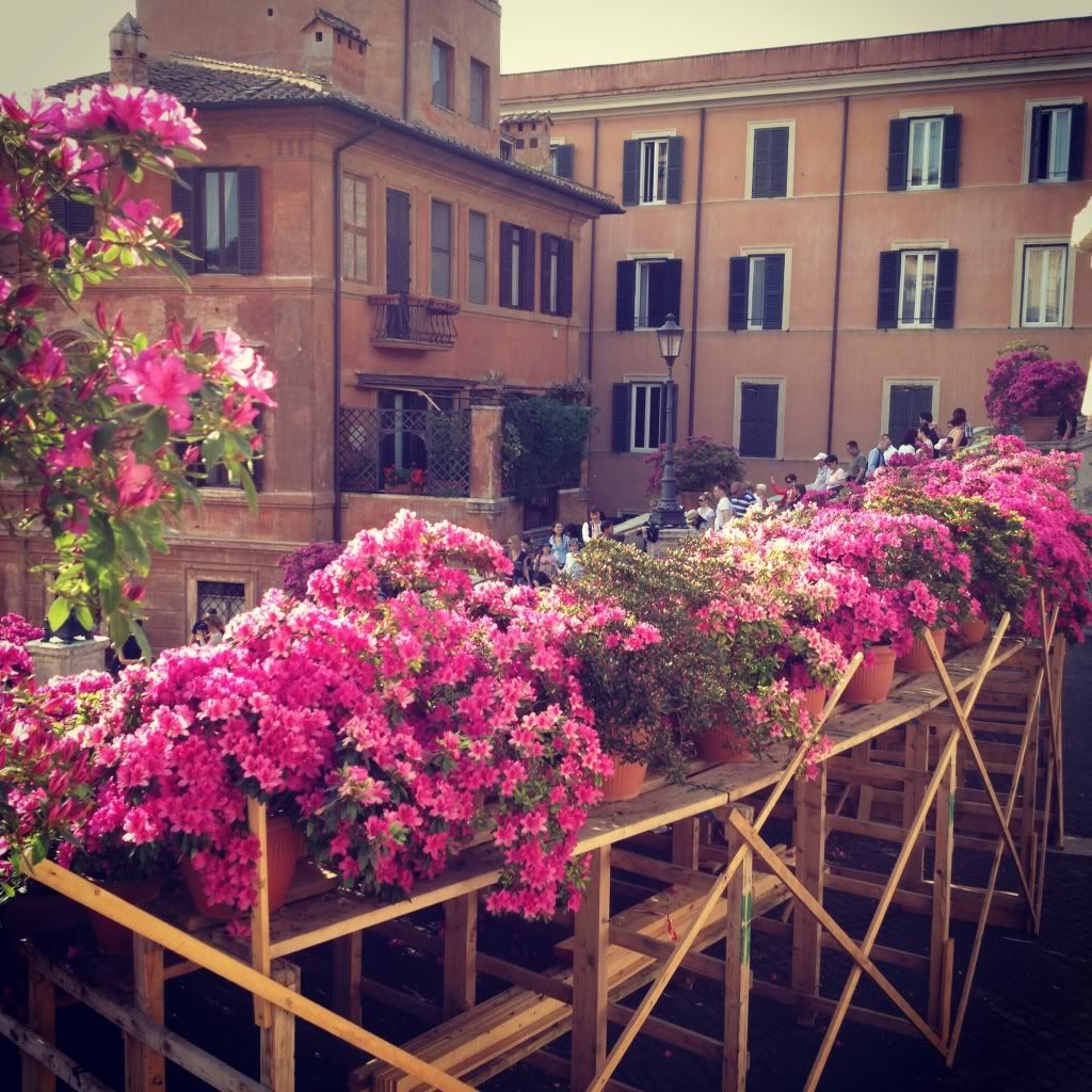 Piazza di Spagna: La scalinata Photobucket