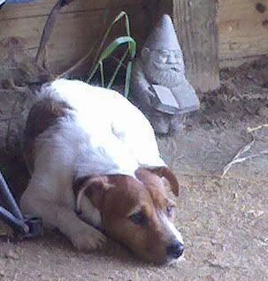 Please, someone send an new pic of the day thread! - Homesteading Questions