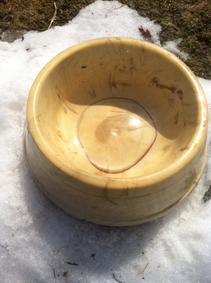 Farm archaeology find - Homesteading Questions