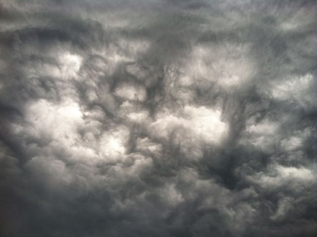 A picture I took today, what do you see? - Countryside Families