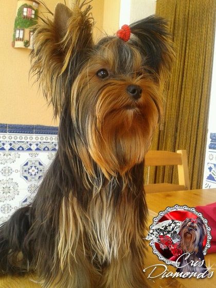photo IMG-20120828-WA0001_zps14d9b81b.jpg