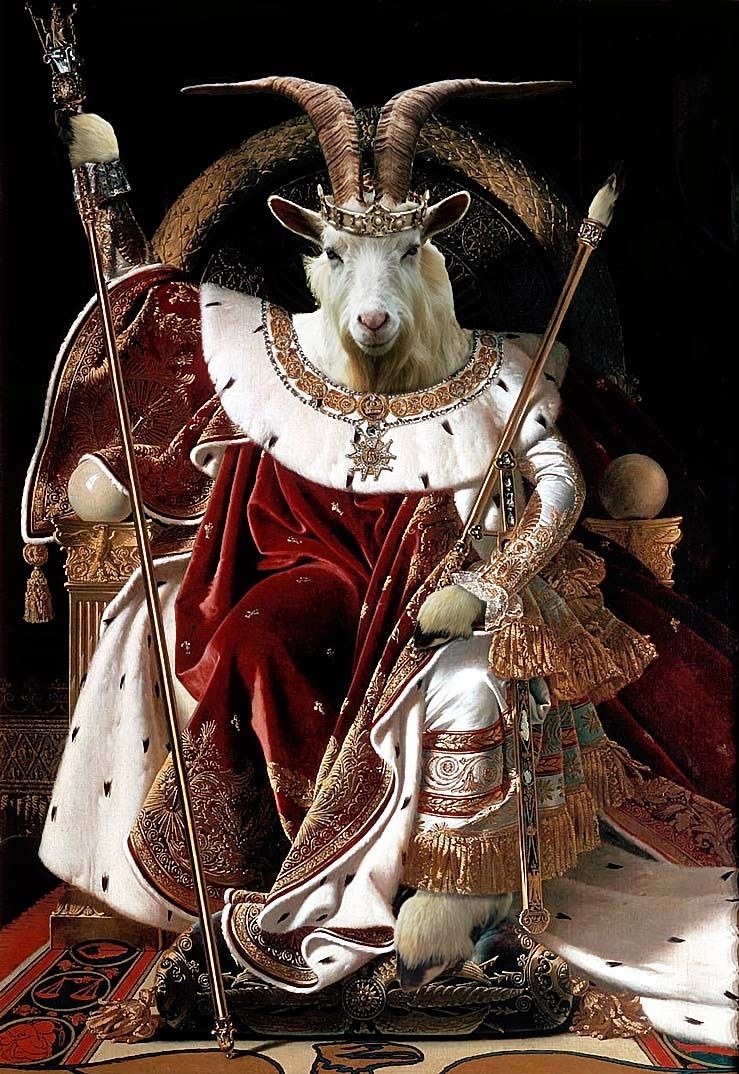 me______the_goat_king__by_malakchams-d4vvawd_zps07b30f28.jpg