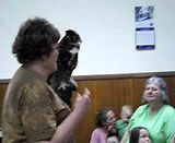  video 100_0117.mp4
