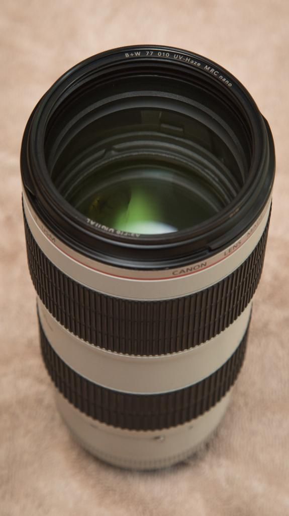 IMAGE: http://i1114.photobucket.com/albums/k539/donkbet45/775A6734_zpsd3e7353f.jpg