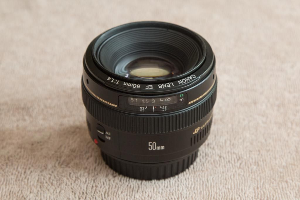 IMAGE: http://i1114.photobucket.com/albums/k539/donkbet45/775A6742_zps68126654.jpg