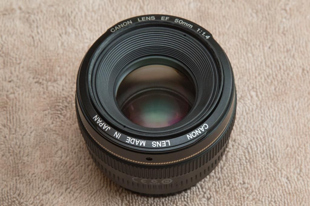 IMAGE: http://i1114.photobucket.com/albums/k539/donkbet45/775A6744_zpsdc91fe07.jpg