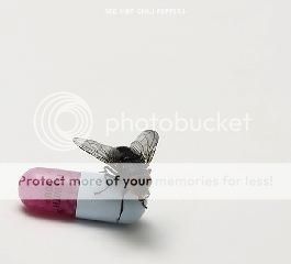 Capa do CD - Red Hot Chili Peppers - I'm With You